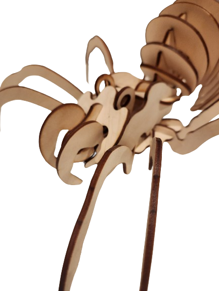 3D Wooden Spider Puzzle