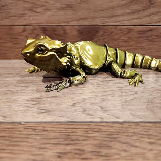 Bearded Dragon