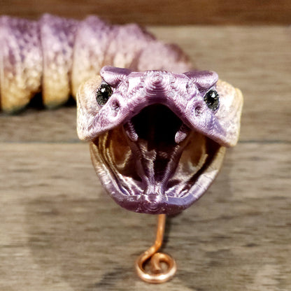 Fanged Rattle Snake